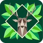 Nature Media Contents icon