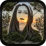 Hidden Face AI -Photo Illusion icon