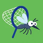 Catch The Mosquito icon