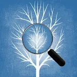 Spot a Difference Short Escape icon