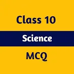 Class 10 Science MCQ icon