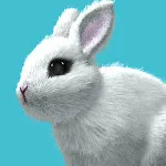 My Rabbit Room icon