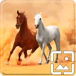 Horses Wallpapers Hd icon