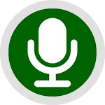 Voice Recorder (Background) icon