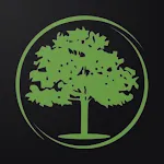 Gemini Mobile icon