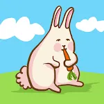 LilySlim Weight Tracker icon