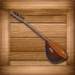 Baglama Pro icon