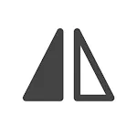 Mirror Image icon