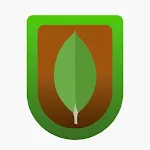 MongoDB Ally icon