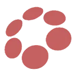 SavvyConnect icon