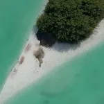 Beautiful Summer Wallpaper icon