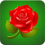 Rose Wallpaper HD icon