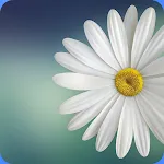 Gallery Lite - Photos, Videos icon