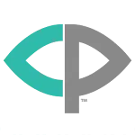 Vision Pursue icon