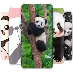 Cute Panda Wallpaper icon