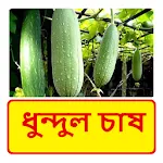 ধুন্দুল চাষের পদ্ধতি icon