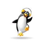 Radio DS icon