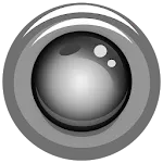IP Webcam icon