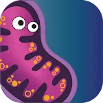 Infinite Evolution icon