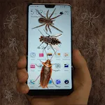 bug prank on screen icon