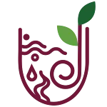 Five Elements International icon