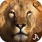 Safari: Online Evolution icon