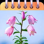 Manipuri Photo Calendar 2025 icon