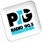 Radio Patagonia icon