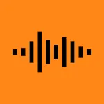 Success Voice Journal icon