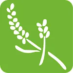 Guia de Aromaterapia icon