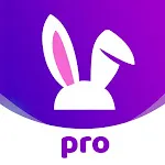 VoVoo Pro - Live Video Chat icon