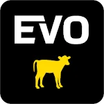 Evolution icon