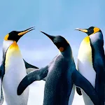 The Penguin icon