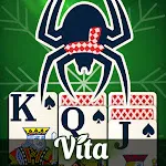 Vita Spider Solitaire icon
