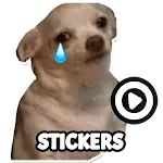 Dog meme sticker WAStickerApps icon