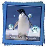 Penguin Live Wallpaper icon