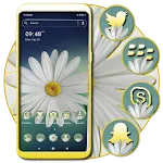 White Gerbera Daisy Theme icon