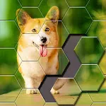 Jigsaw Puzzle -Hexa Block Game icon