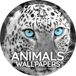 Wallpapers 4K with animals icon