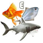 Fish Types | Goldfish Saltwate icon