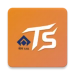 RSP TOWN SERVICES icon