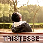 Citations Triste & Proverbes icon
