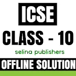 ICSE CLASS 10 SOLUTION icon