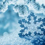 Winter Wallpaper icon