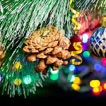Macro Christmas Live Wallpaper icon