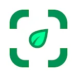 Plant identifier from photo icon