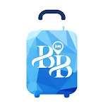Budget Booking In icon