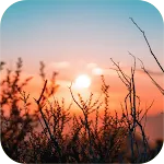 Nature Wallpaper icon