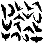 Bats Sound icon