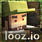 looz.io icon